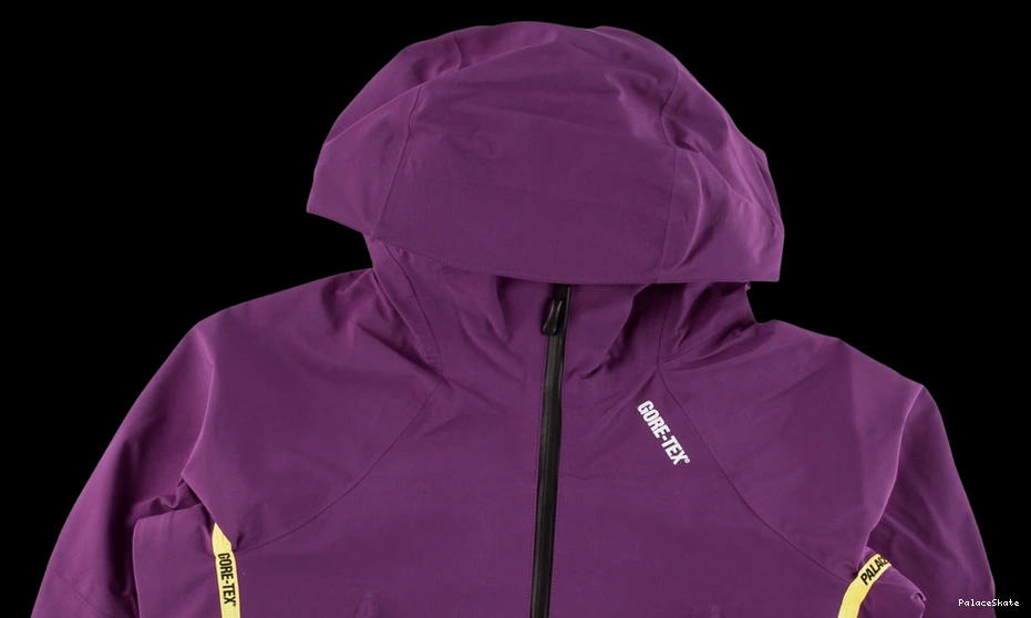 Affordable Palace Palex Gore-Tex Jacket 0722